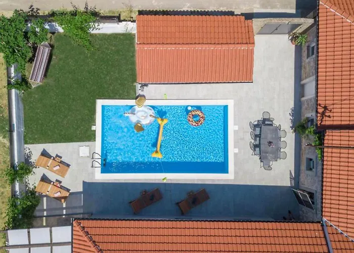 Dalmatian Dream Drliceve Kuce